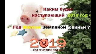 Каким будет наступающий  2019 год - Год жёлтой земляной свиньи !