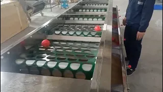 Easy operation tomato potato fruit sorting systems lemon apple sorting machine grader machine