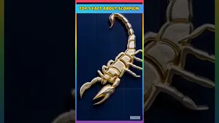 Top 5 Fact About Scorpion | #shorts #short #youtubeshorts #facts #viral