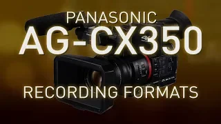 CX350 – Recording Formats