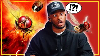 Eega Theatrical Trailer Reaction | SS Rajamouli “DID HE TURN INTO A FLY!?”