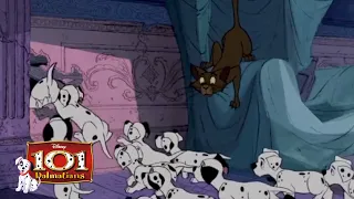 Guess My Crime | HD (4/11) Movie Scenes | 101 Dalmatians (1961)