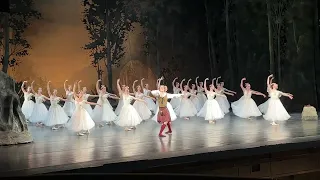 «Сильфида» #большойтеатр #ballet #dancer #bolshoitheatre
