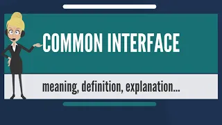 What is COMMON INTERFACE? COMMON INTERFACE meaning & explanation