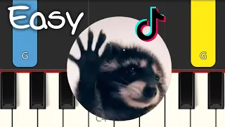 Pedro Pedro Pedro - Meme Tik Tok - EASY PIANO TUTORIAL