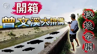 開箱曾文大排溝/超扯～太小看這條水溝了。沒見過這樣的事！！ (下) #鵝大人 #排水溝 #潮汐