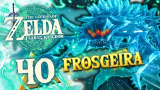 THE LEGEND OF ZELDA TEARS OF THE KINGDOM ☁️ 40: Frosgeira - Peiniger des Windtempels