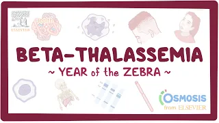 Beta-thalassemia (Year of the Zebra)