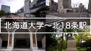 【Hokkaido 4K】Walking around Hokkaido university, Kita 12jyo, Kita 18jyo in Sapporo