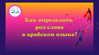 Как определить род слова в арабском языке?