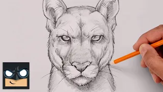 How To Draw a Puma | Step By Step Sketch Tutorial