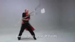 Master Yanqing Ding demonstrating 26 Movement Pudao