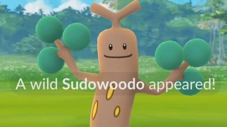 A Wild Sudowoodo Has Appeared! Pokemon GO Generation 2 Pokedex Entry!