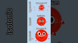 Isotonic, hypotonic and hypertonic, showing the effect of these solutions