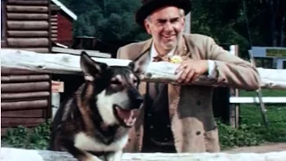 Original The Littlest Hobo 1963 in Color! Rare "Trouble In Pairs" Episode