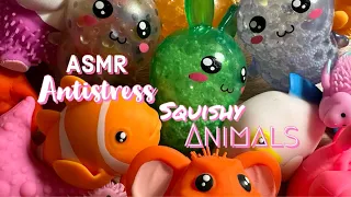 Antistress Squishy Animals - ASMR no talking 🐢🐰🐱🐡🐟🐙🐠🦔🐧🐘