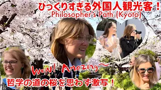 🌸 Foreign tourists are so surprised by the cherry blossoms on Philosopher's Path! Kyoto, Japan.