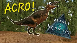 IS ACRO STILL VIABLE AND FUN!? | Beasts Of Bermuda