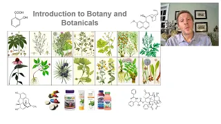 Introduction to botany and botanicals   Syllabus and Preview Source