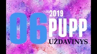 06 uždavinys | PUPP 2019