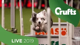 Crufts 2019 Day 1 - Part 2 LIVE