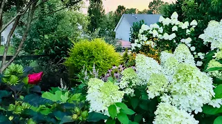 Rainy Day July Garden Tour 🌸🌱 || Cottage Garden Tour