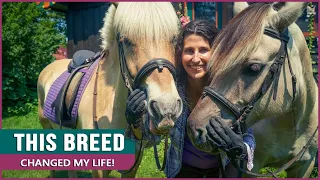 Equestrian Rides the Norwegian Fjord Horse!