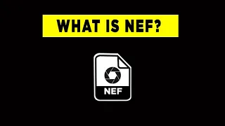 What is a NEF file? - Photography PX