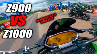 Z900 VS Z1000🔥AL LIMITE Fullgass Drag Race