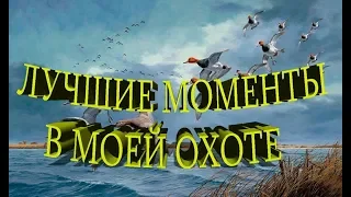 Подборка лучших моментов охотничьего сезона 2018-2019. Красивые и точные выстрелы.