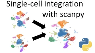 Single-cell integration in python with scanpy