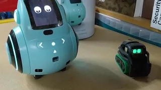 Miko 2  Playful Learning STEM Robot Review, From a Miko vs Vector perspective