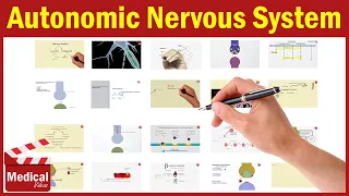 Autonomic Nervous System Videos - Pharmacology MADE EASY