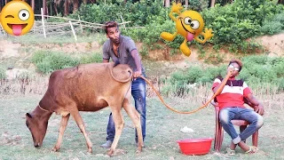 Must Watch Funny😂😂Comedy Videos 2019 - Episode 130 || Jewels Funny ||