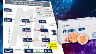 The DHT Backdoor Pathway That Finasteride CAN'T Protect You Against