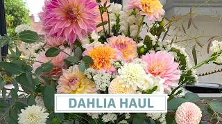New Dahlia Varieties And Bare Root Perennials / Dahlia Haul / Farmer Gracy Order
