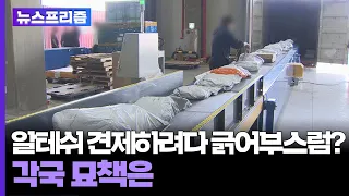 [탐사보도 뉴스프리즘] 알테쉬 견제하려다 긁어부스럼?…각국 묘책은 / 연합뉴스TV (YonhapnewsTV)