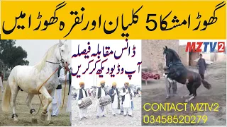 Dance competition between panj kalyan horse and nuqra horse.You decide who won by watching the video