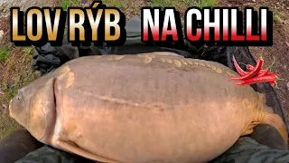 Lov Rýb na Chilli Papričky🌶️ a Gumené Medvedíky🧸 Obrovský Kapor !