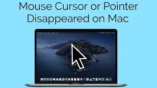 Mouse Cursor/Pointer Disappeared on Macbook Air/Pro in macOS Catalina - Fixed
