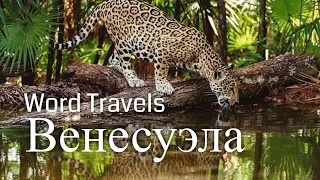 Венесуэла / Мир в движении / Путешествия вокруг света / Venezuela / Word Travels