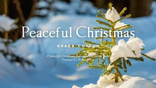 A peaceful Christmas that came like white snow l GRASS COTTON+