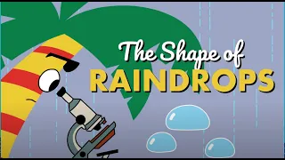 The Shape of Raindrops