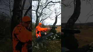9mm Deer Hunting 50yd