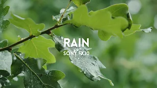 Rain | Sony FX 30 + Tamron 17-70mm f2.8