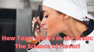 How Taste Works in the Brain the Science of Flavor