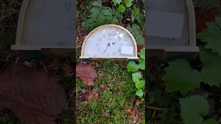 Found a Clock in the Japanese Suicide Forest