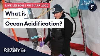 SCIENTISTS AND EXPLORERS LIVE - What is Ocean Acidification? with Helen Findlay