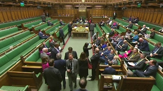 Scottish party MPs whistle 'Ode to Joy' during Brexit vote