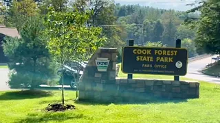 Cook Forest State Park Cooksburg Pennsylvania